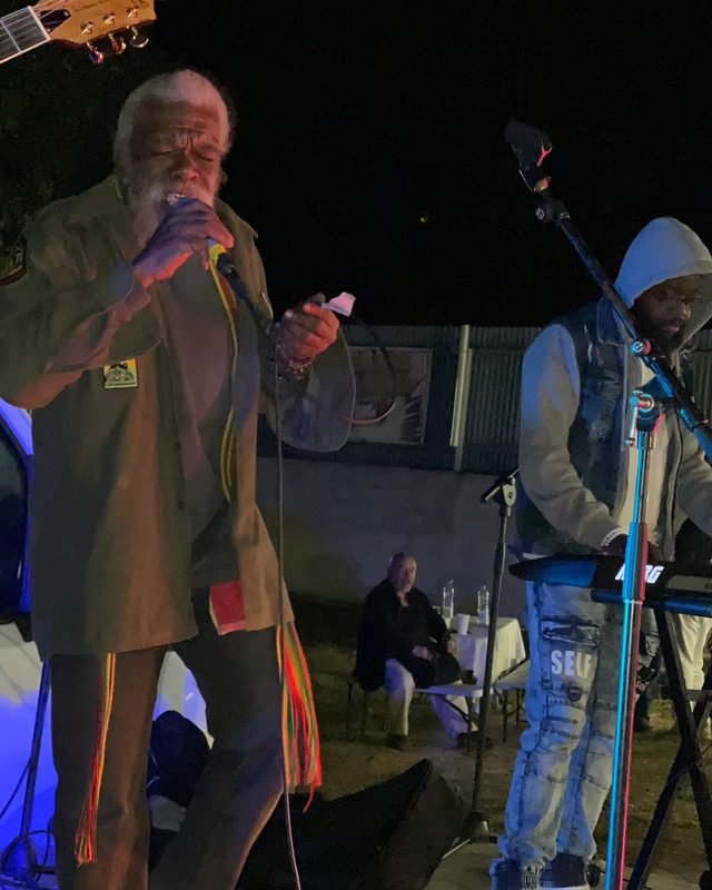Chanteur en concert