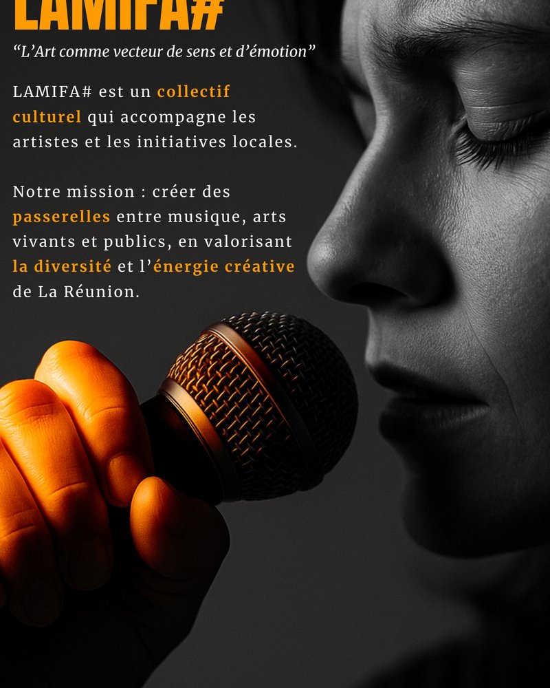 Affiche institutionnelle LAMIFA#
